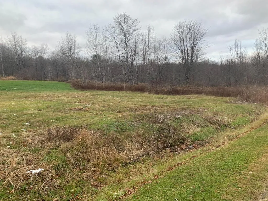 0 Phillips Odell Road, Guilford, New York 13809, Guilford, New York 13809, ,Land,For Sale,0 Phillips Odell Road, Guilford, New York 13809,0,R1591374