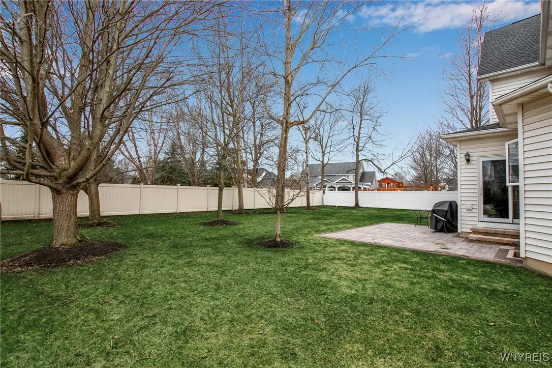 back yard