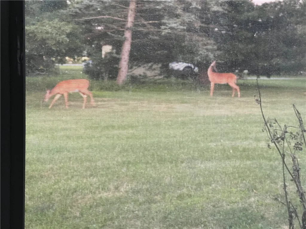 212 Wilson Road, Lansing, New York 14882, Lansing, New York 14882, 4 Bedrooms Bedrooms, 8 Rooms Rooms,2 BathroomsBathrooms,Residential,For Sale,212 Wilson Road, Lansing, New York 14882,R1593171