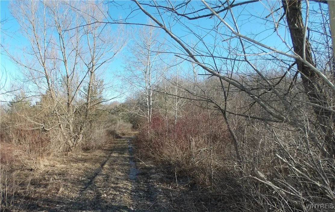 Shirley Road, North Collins, New York 14111, North Collins, New York 14111, ,Land,Closed,Shirley Road, North Collins, New York 14111,0,B1593680