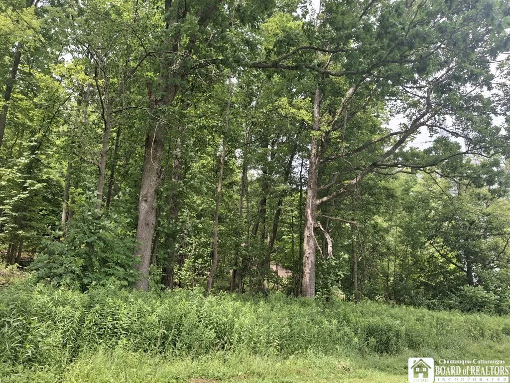 1898 Buffalo Street, Olean-city, New York 14760, Olean, New York 14760, 5 Bedrooms Bedrooms, 9 Rooms Rooms,2 BathroomsBathrooms,Residential,Closed,1898 Buffalo Street, Olean-city, New York 14760,0,R1593797