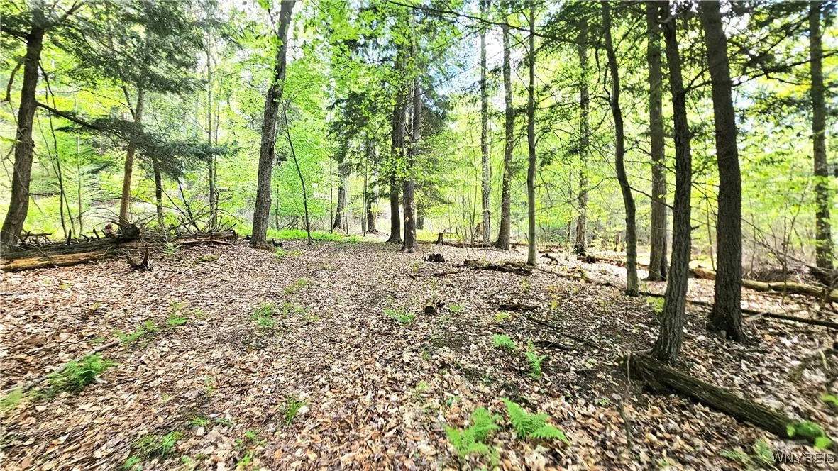 6229 Lilly Road, Belfast, New York 14711, Belfast, New York 14711, 3 Bedrooms Bedrooms, 6 Rooms Rooms,1 BathroomBathrooms,Residential,Closed,6229 Lilly Road, Belfast, New York 14711,0,B1594021