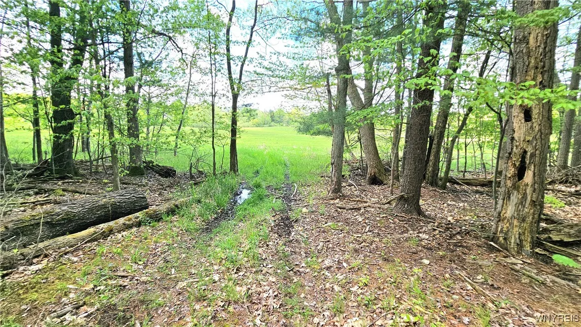 6229 Lilly Road, Belfast, New York 14711, Belfast, New York 14711, 3 Bedrooms Bedrooms, 6 Rooms Rooms,1 BathroomBathrooms,Residential,Closed,6229 Lilly Road, Belfast, New York 14711,0,B1594021