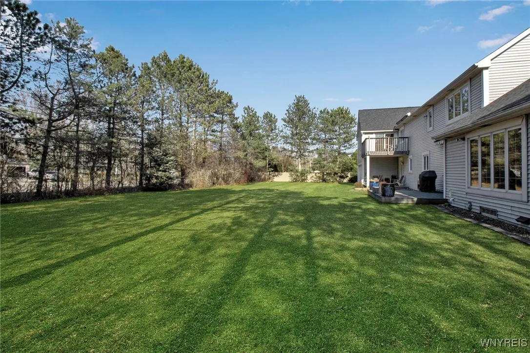 Backyard (double lot)