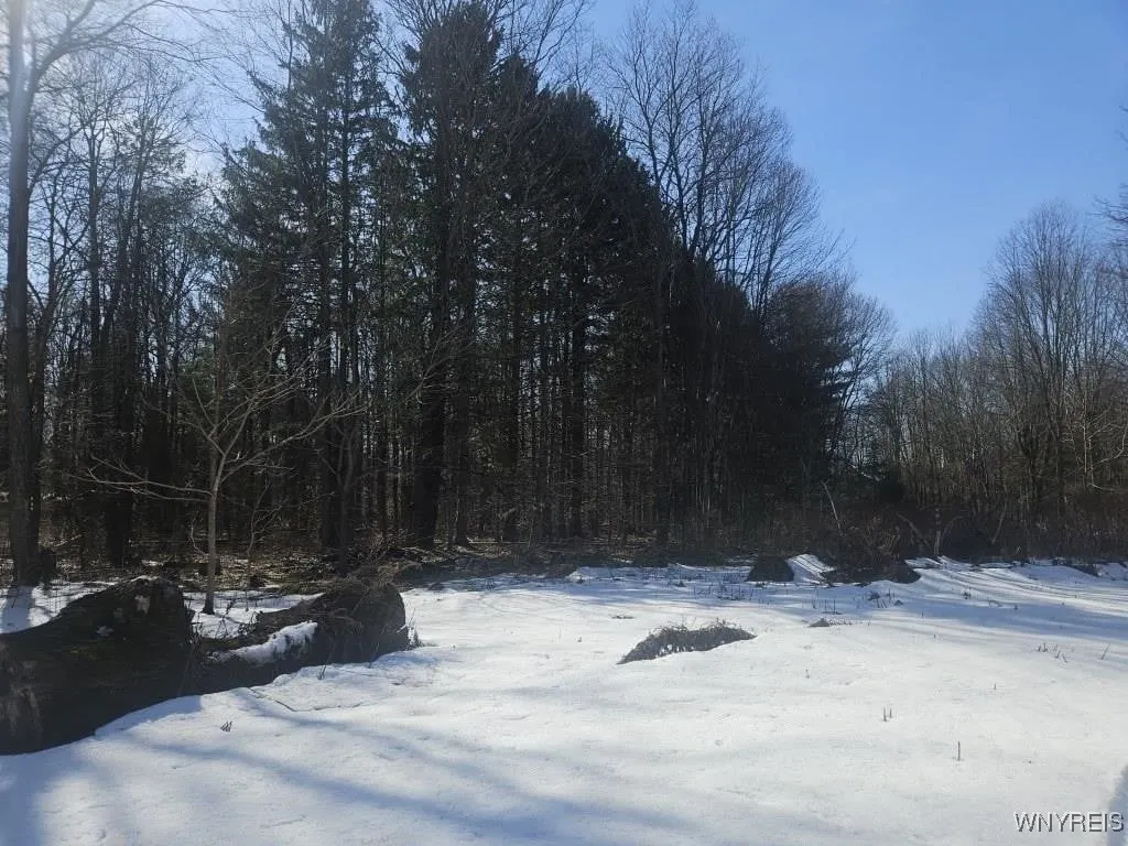 9280 Gowanda State Road, Eden, New York 14057, Eden, New York 14057, 3 Bedrooms Bedrooms, ,1 BathroomBathrooms,Land,Closed,9280 Gowanda State Road, Eden, New York 14057,0,B1594269