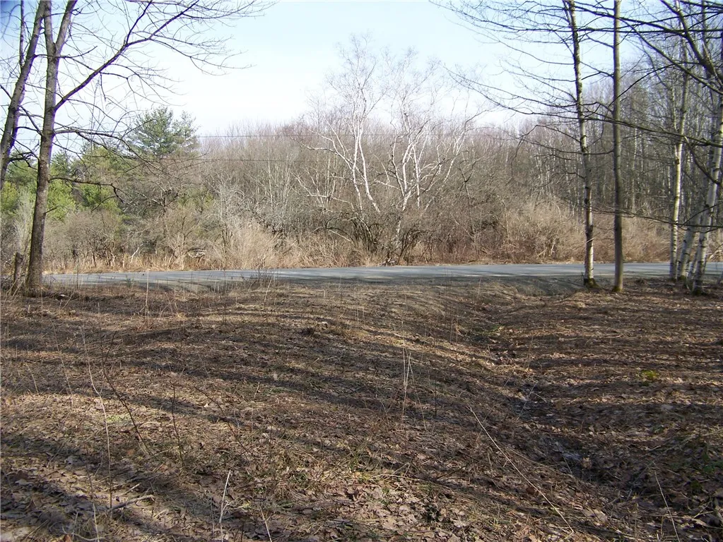 191 West Extension, Laurens, New York 13820, Laurens, New York 13820, ,Land,For Sale,191 West Extension, Laurens, New York 13820,0,R1594008