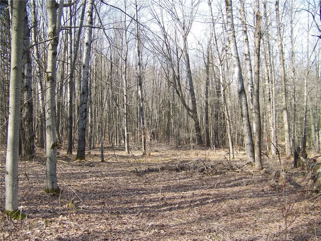 191 West Extension, Laurens, New York 13820, Laurens, New York 13820, ,Land,For Sale,191 West Extension, Laurens, New York 13820,0,R1594008