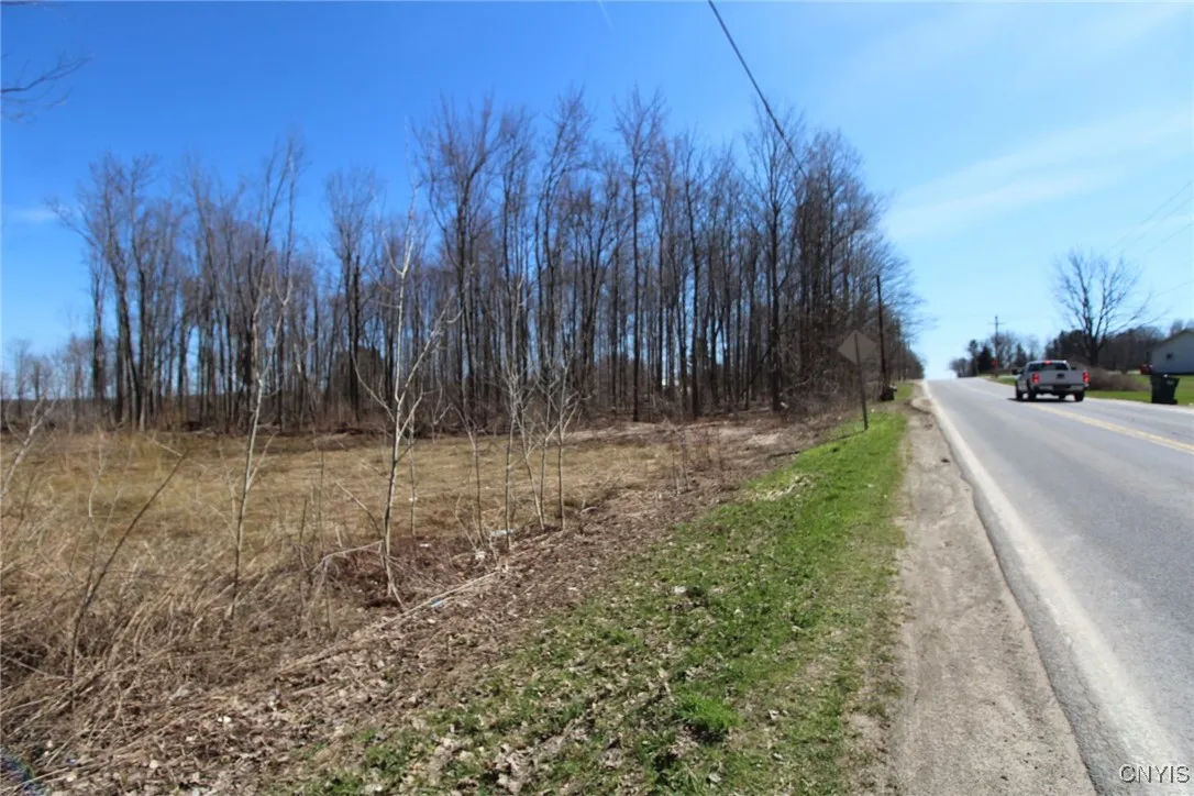 County Route 45, Palermo, New York 13036, Palermo, New York 13036, ,Land,Closed,County Route 45, Palermo, New York 13036,0,S1591650