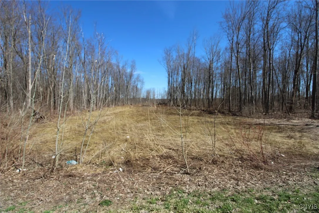 County Route 45, Palermo, New York 13036, Palermo, New York 13036, ,Land,Closed,County Route 45, Palermo, New York 13036,0,S1591650