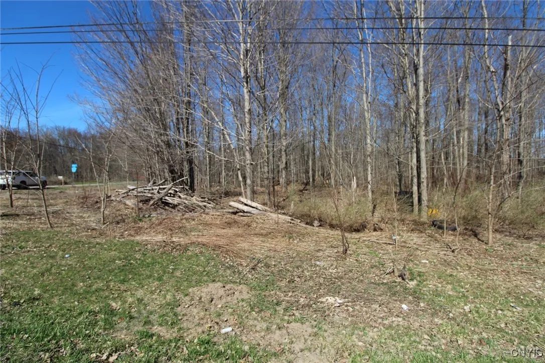 County Route 45, Palermo, New York 13036, Palermo, New York 13036, ,Land,Closed,County Route 45, Palermo, New York 13036,0,S1591650