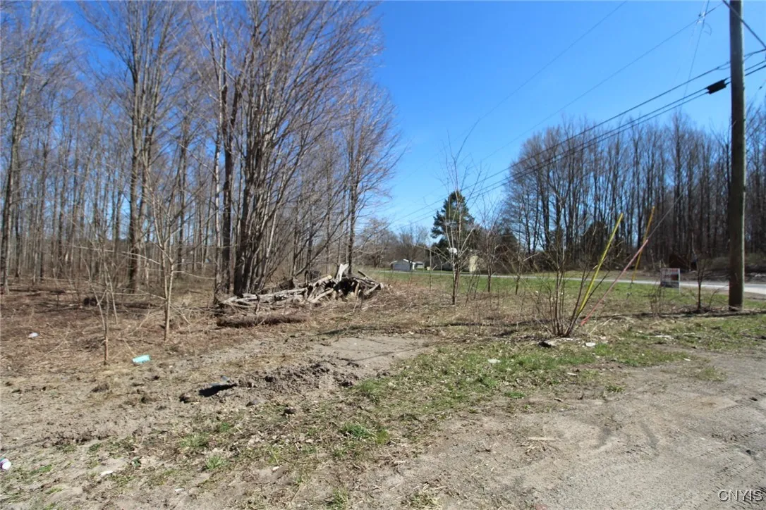County Route 45, Palermo, New York 13036, Palermo, New York 13036, ,Land,Closed,County Route 45, Palermo, New York 13036,0,S1591650