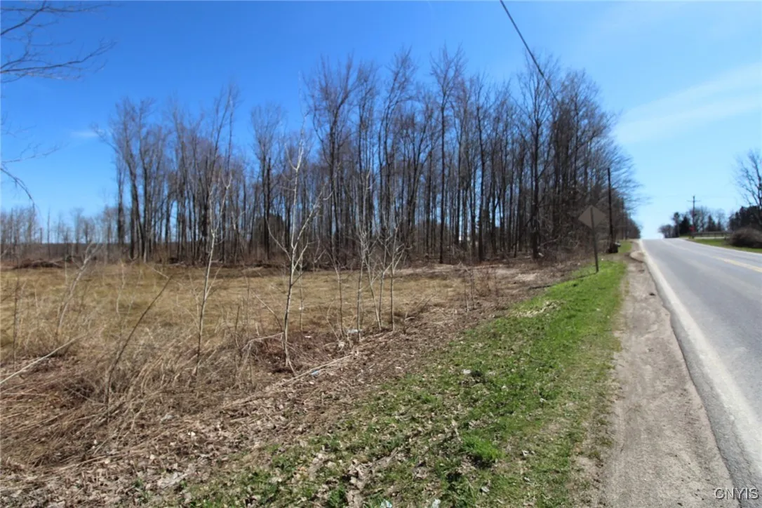County Route 45, Palermo, New York 13036, Palermo, New York 13036, ,Land,Closed,County Route 45, Palermo, New York 13036,0,S1591650