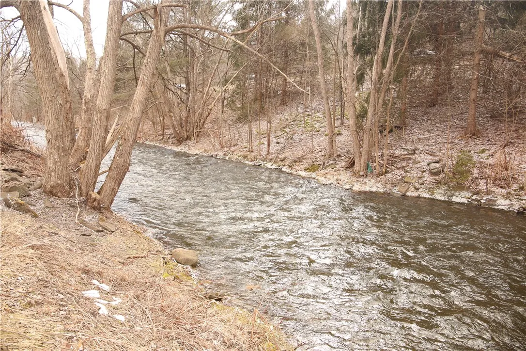 Bush Kill stream along rear line