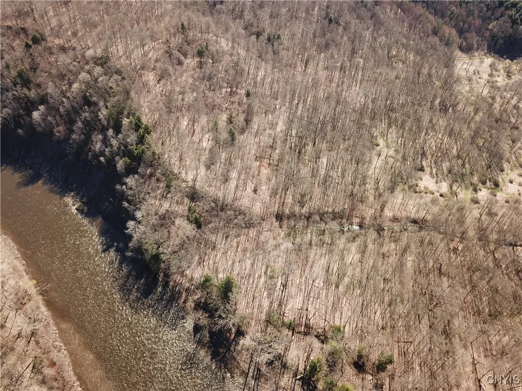 Shells Bush Road, Herkimer, New York 13350, Herkimer, New York 13350, ,Land,For Sale,Shells Bush Road, Herkimer, New York 13350,0,S1594605