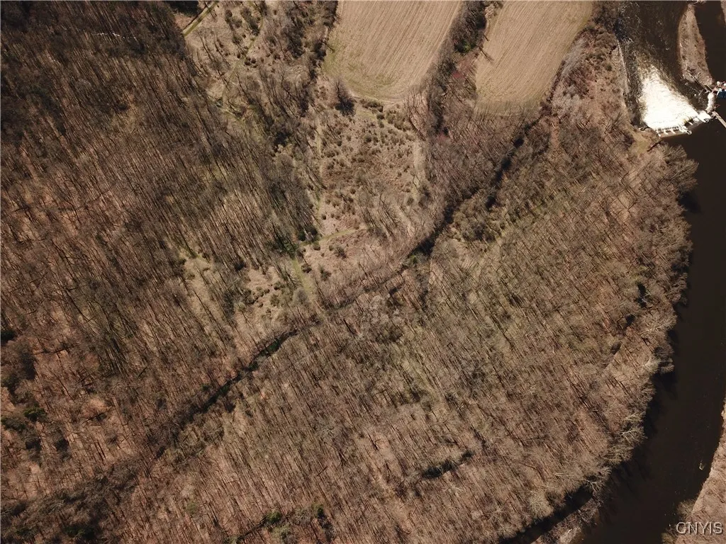 Shells Bush Road, Herkimer, New York 13350, Herkimer, New York 13350, ,Land,For Sale,Shells Bush Road, Herkimer, New York 13350,0,S1594605