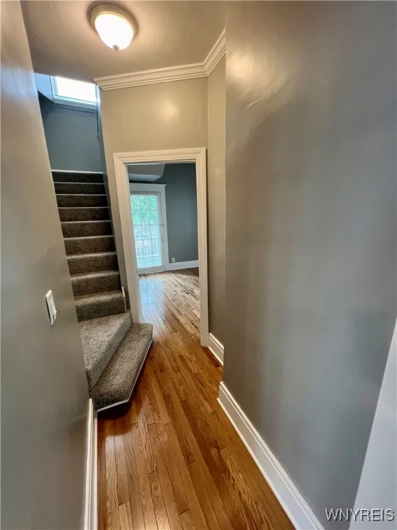 88 Wellington Road, Buffalo, New York 14216, Buffalo, New York 14216, 4 Bedrooms Bedrooms, 8 Rooms Rooms,2 BathroomsBathrooms,Residential,Closed,88 Wellington Road, Buffalo, New York 14216,B1592944