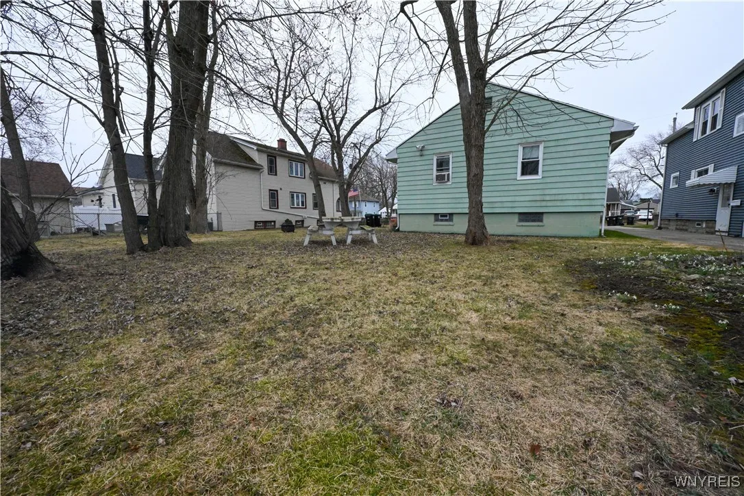 Back yard 2