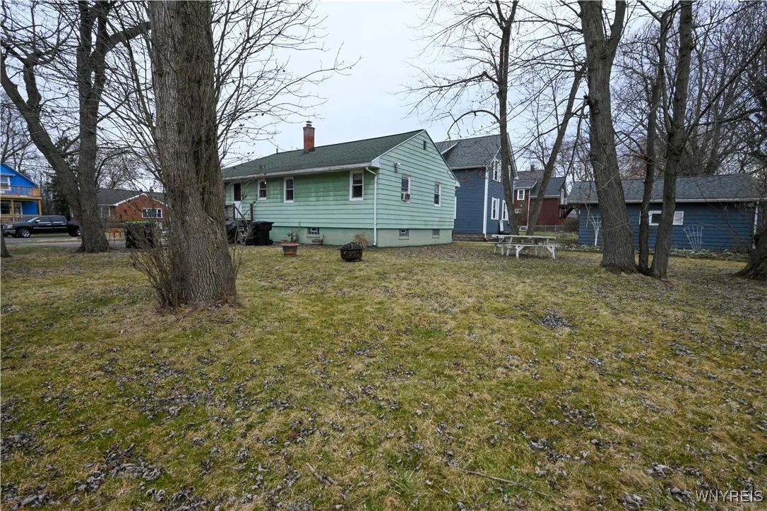 Back yard 1