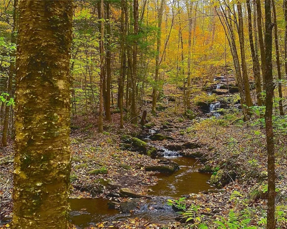 Bragg Hollow Road, Middletown, New York 12455, Middletown, New York 12455, ,Land,For Sale,Bragg Hollow Road, Middletown, New York 12455,0,R1594475