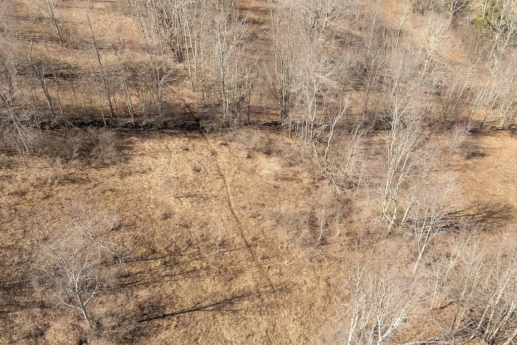 Bragg Hollow Road, Middletown, New York 12455, Middletown, New York 12455, ,Land,For Sale,Bragg Hollow Road, Middletown, New York 12455,0,R1594475