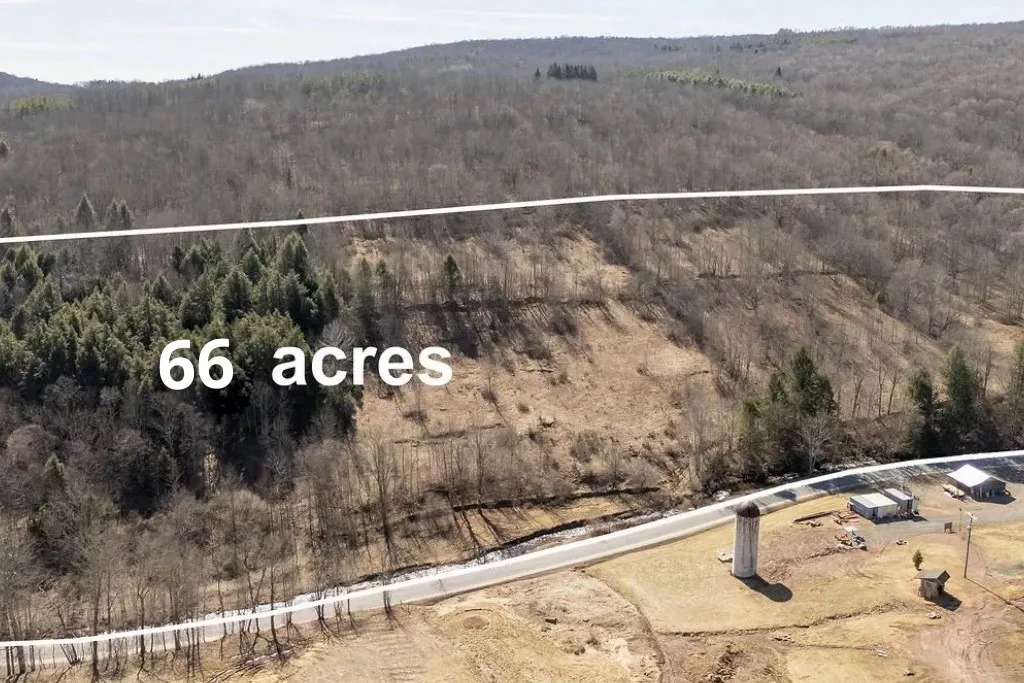 Bragg Hollow Road, Middletown, New York 12455, Middletown, New York 12455, ,Land,For Sale,Bragg Hollow Road, Middletown, New York 12455,0,R1594475