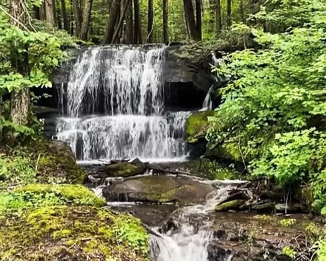 Bragg Hollow Road, Middletown, New York 12455, Middletown, New York 12455, ,Land,For Sale,Bragg Hollow Road, Middletown, New York 12455,0,R1594475