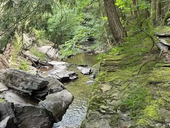 Bragg Hollow Road, Middletown, New York 12455, Middletown, New York 12455, ,Land,For Sale,Bragg Hollow Road, Middletown, New York 12455,0,R1594475