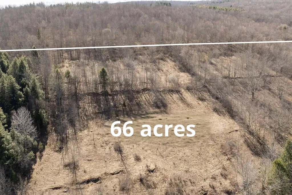 Bragg Hollow Road, Middletown, New York 12455, Middletown, New York 12455, ,Land,For Sale,Bragg Hollow Road, Middletown, New York 12455,0,R1594475