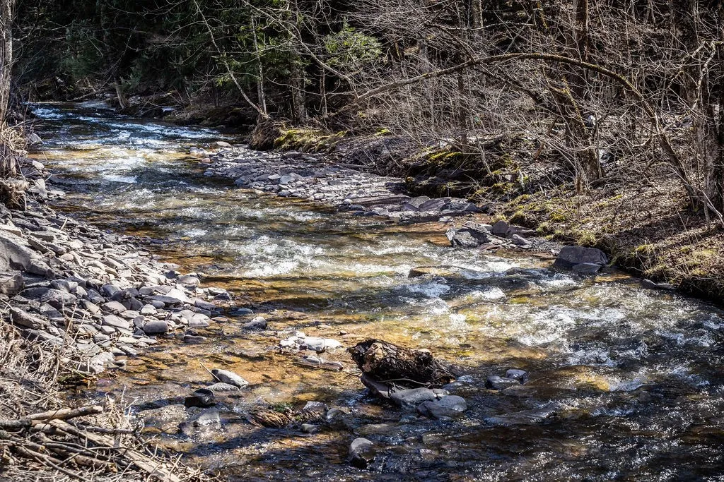 Bragg Hollow Road, Middletown, New York 12455, Middletown, New York 12455, ,Land,For Sale,Bragg Hollow Road, Middletown, New York 12455,0,R1594475