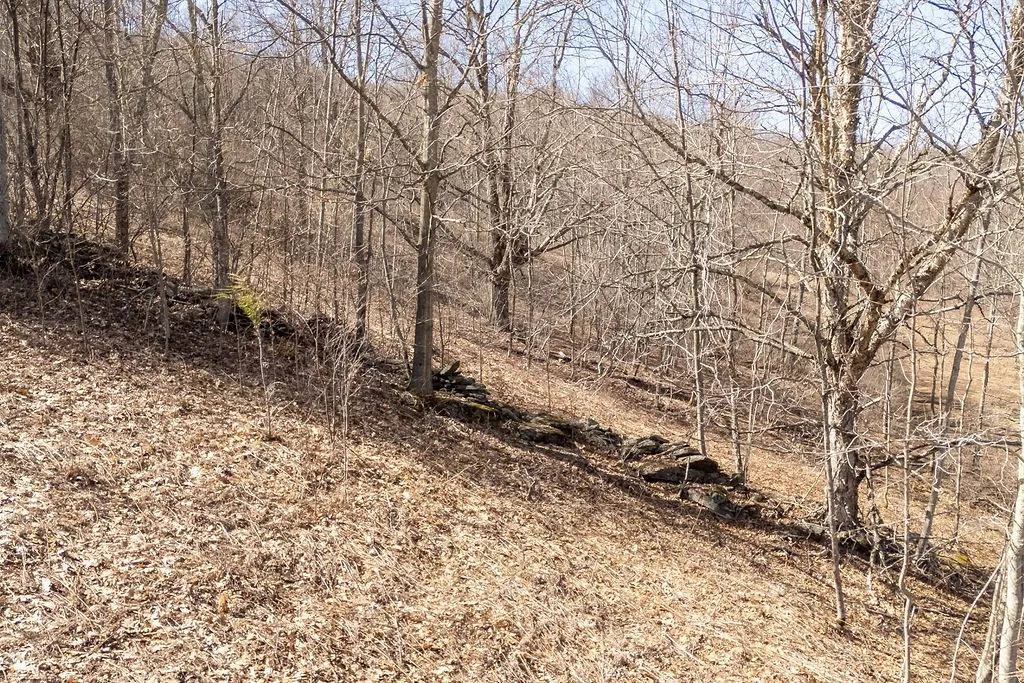 Bragg Hollow Road, Middletown, New York 12455, Middletown, New York 12455, ,Land,For Sale,Bragg Hollow Road, Middletown, New York 12455,0,R1594475