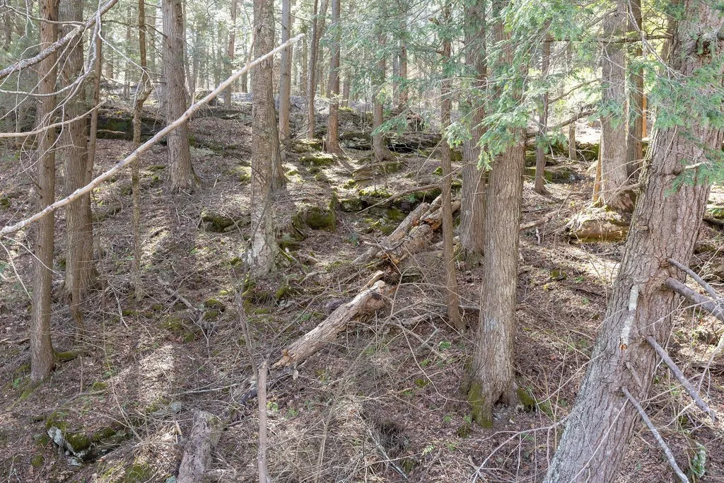 Bragg Hollow Road, Middletown, New York 12455, Middletown, New York 12455, ,Land,For Sale,Bragg Hollow Road, Middletown, New York 12455,0,R1594475