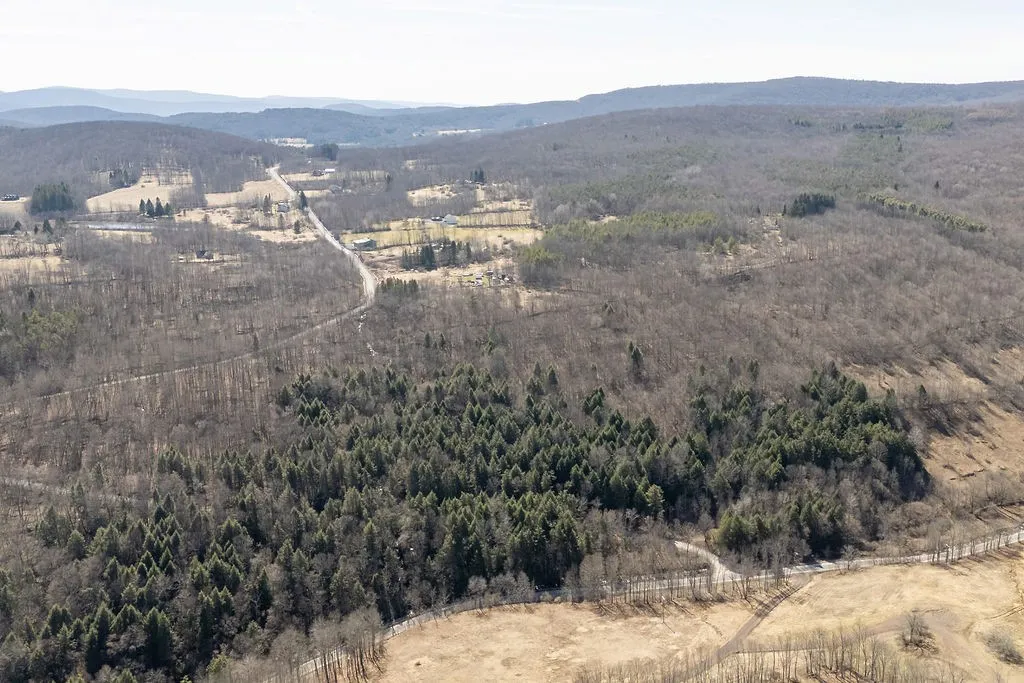 Bragg Hollow Road, Middletown, New York 12455, Middletown, New York 12455, ,Land,For Sale,Bragg Hollow Road, Middletown, New York 12455,0,R1594475