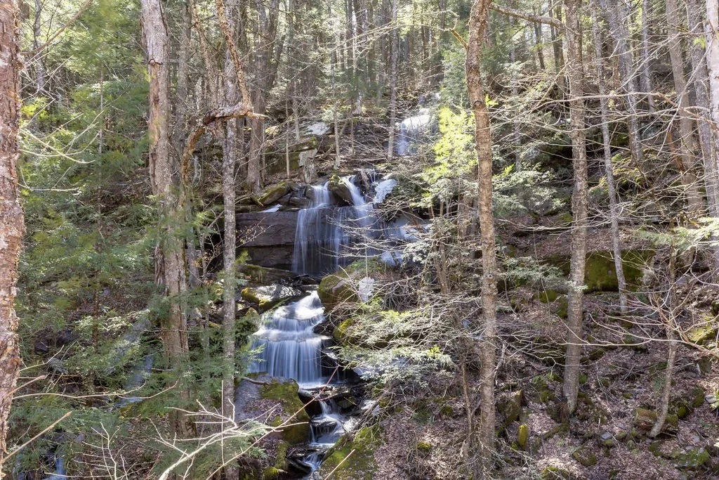 Bragg Hollow Road, Middletown, New York 12455, Middletown, New York 12455, ,Land,For Sale,Bragg Hollow Road, Middletown, New York 12455,0,R1594475