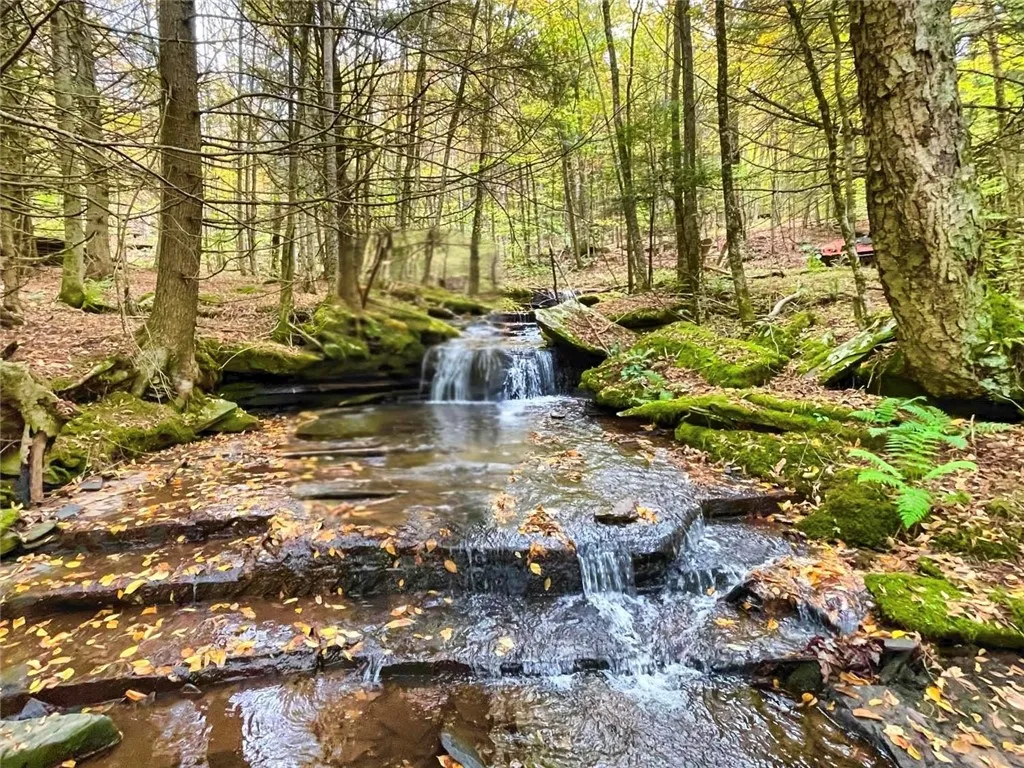 Bragg Hollow Road, Middletown, New York 12455, Middletown, New York 12455, ,Land,For Sale,Bragg Hollow Road, Middletown, New York 12455,0,R1594475