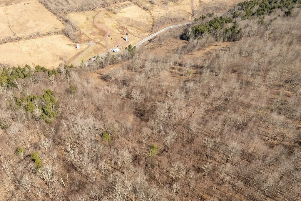 Bragg Hollow Road, Middletown, New York 12455, Middletown, New York 12455, ,Land,For Sale,Bragg Hollow Road, Middletown, New York 12455,0,R1594475
