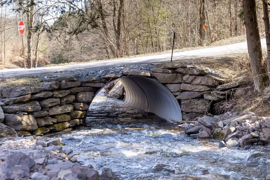 Bragg Hollow Road, Middletown, New York 12455, Middletown, New York 12455, ,Land,For Sale,Bragg Hollow Road, Middletown, New York 12455,0,R1594475