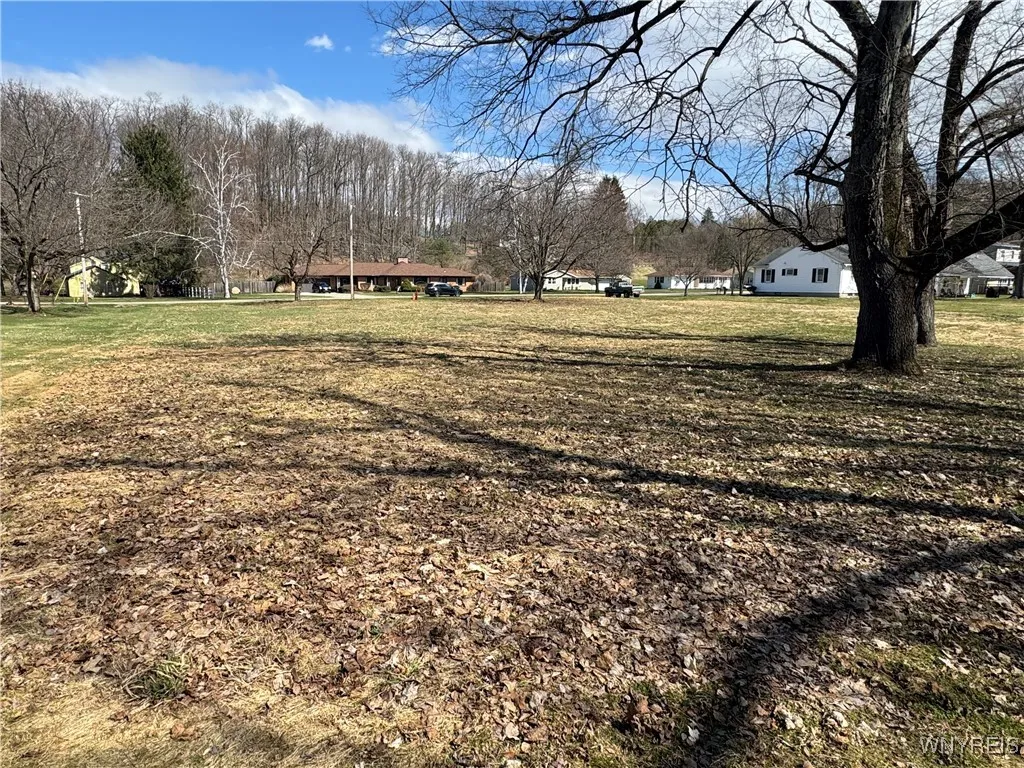 V/l Armes Court, Collins, New York 14070, Collins, New York 14070, ,Land,For Sale,V/l Armes Court, Collins, New York 14070,0,B1595111