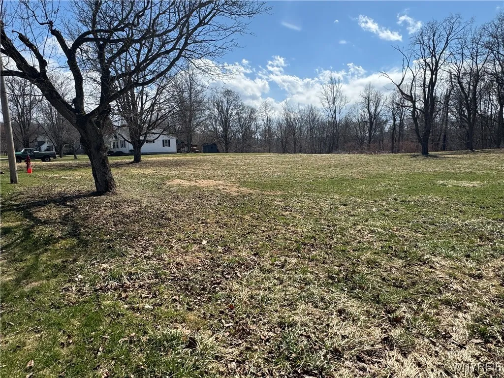 V/l Armes Court, Collins, New York 14070, Collins, New York 14070, ,Land,For Sale,V/l Armes Court, Collins, New York 14070,0,B1595111