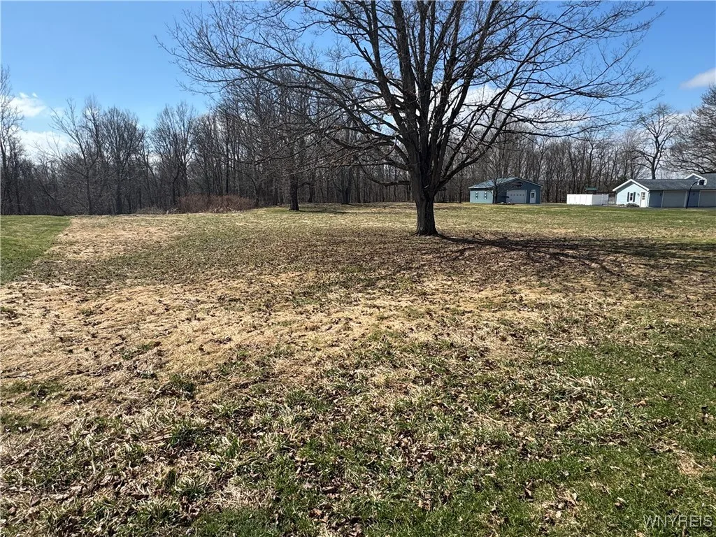 V/l Armes Court, Collins, New York 14070, Collins, New York 14070, ,Land,For Sale,V/l Armes Court, Collins, New York 14070,0,B1595111