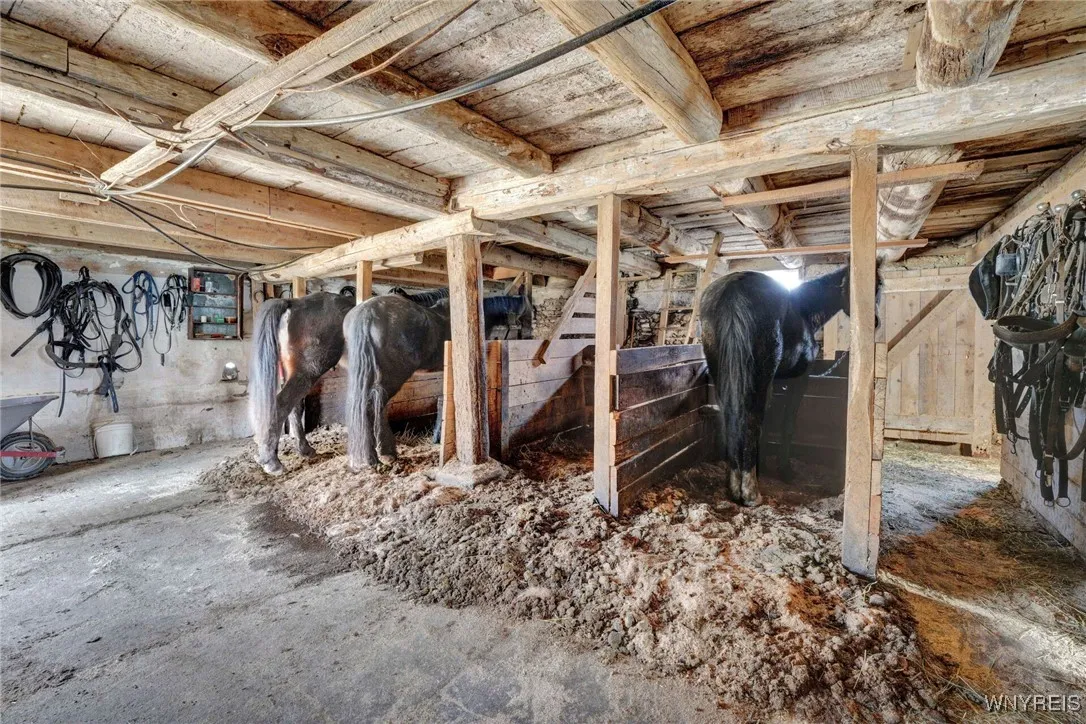 Horse Stalls in 3 story Barn
