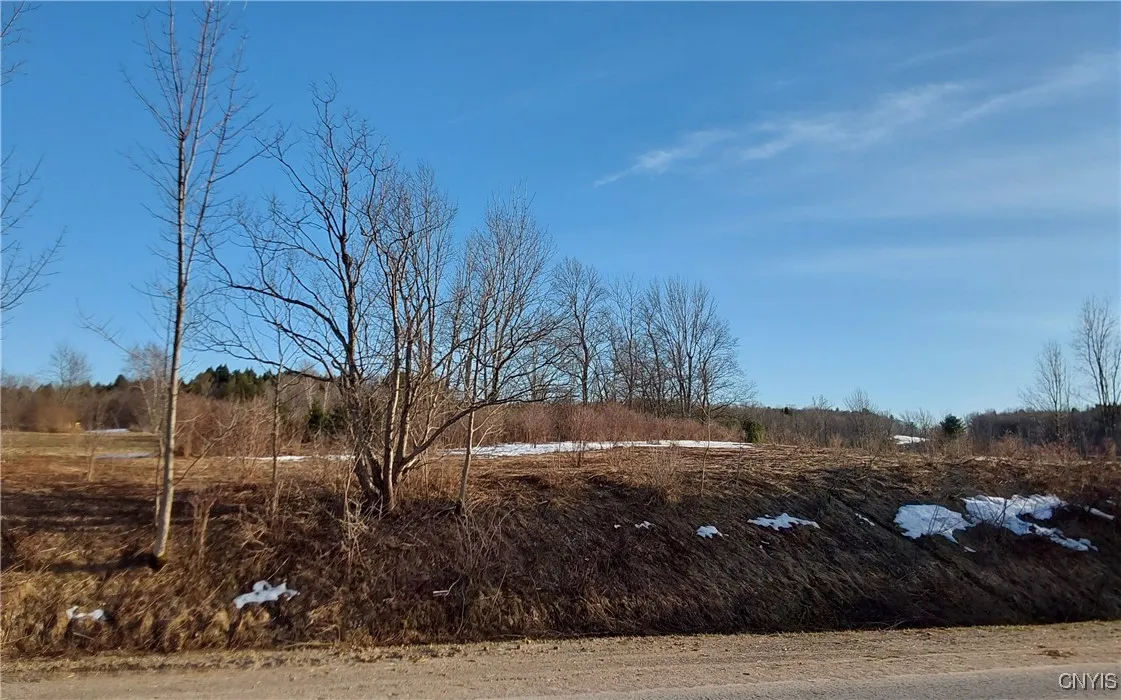 Crooked Brook Road, Deerfield, New York 13502, Deerfield, New York 13502, ,Land,Closed,Crooked Brook Road, Deerfield, New York 13502,0,S1595169