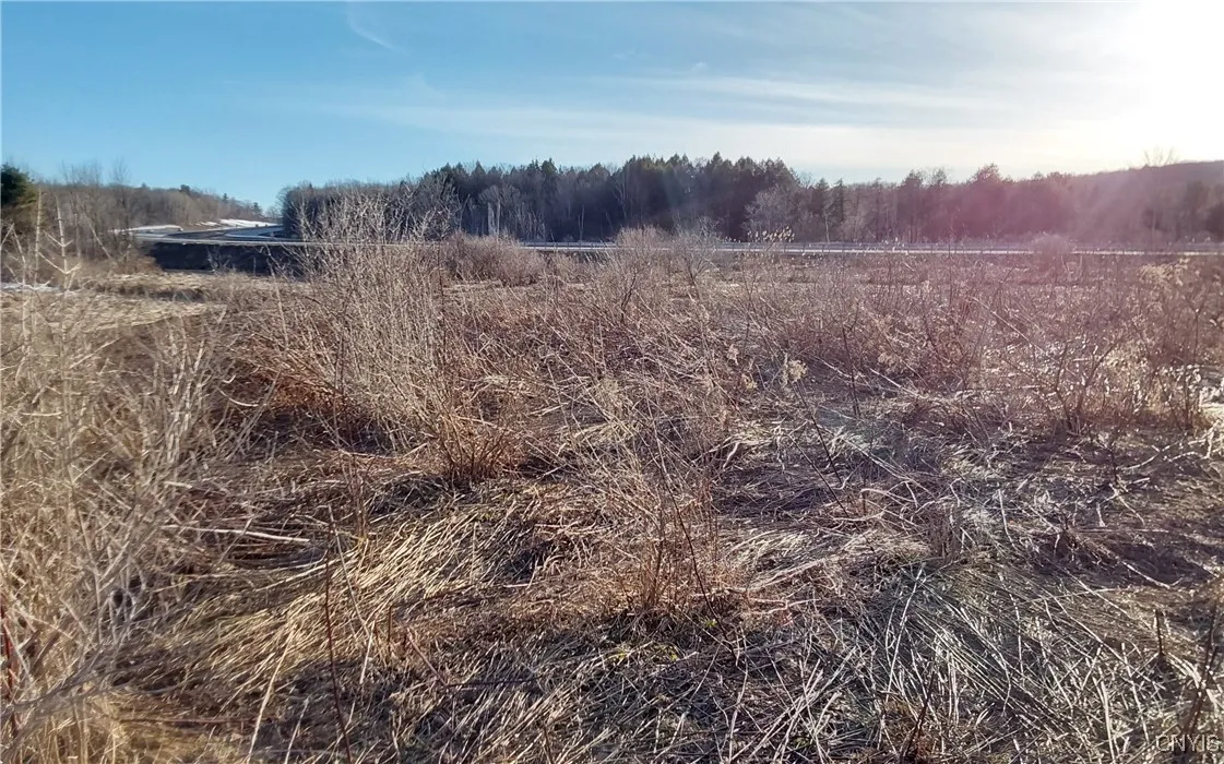 Crooked Brook Road, Deerfield, New York 13502, Deerfield, New York 13502, ,Land,Closed,Crooked Brook Road, Deerfield, New York 13502,0,S1595169