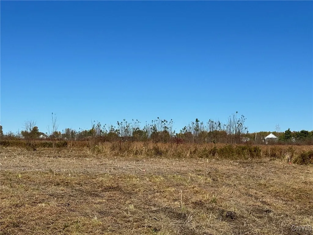 Lot#4 Hitchcock Point Road, Sullivan, New York 130, Sullivan, New York 13037, ,Land,For Sale,Lot#4 Hitchcock Point Road, Sullivan, New York 130,S1594971