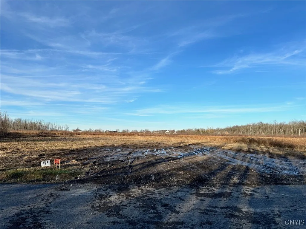 Lot#4 Hitchcock Point Road, Sullivan, New York 130, Sullivan, New York 13037, ,Land,For Sale,Lot#4 Hitchcock Point Road, Sullivan, New York 130,S1594971