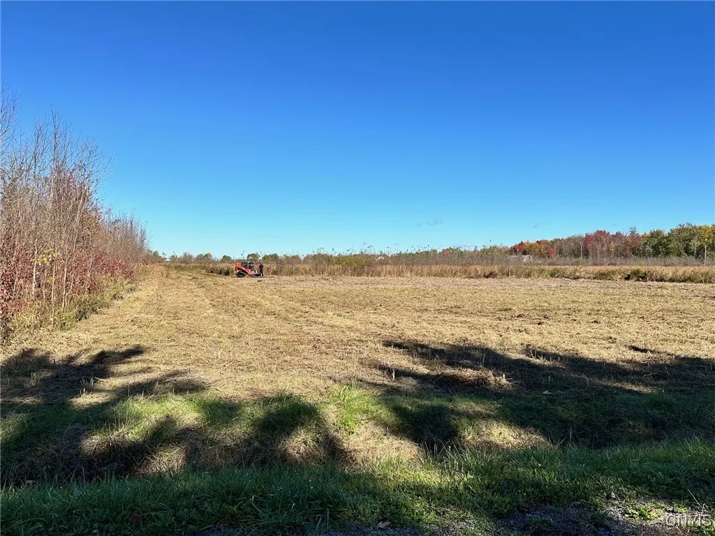 Lot#4 Hitchcock Point Road, Sullivan, New York 130, Sullivan, New York 13037, ,Land,For Sale,Lot#4 Hitchcock Point Road, Sullivan, New York 130,S1594971