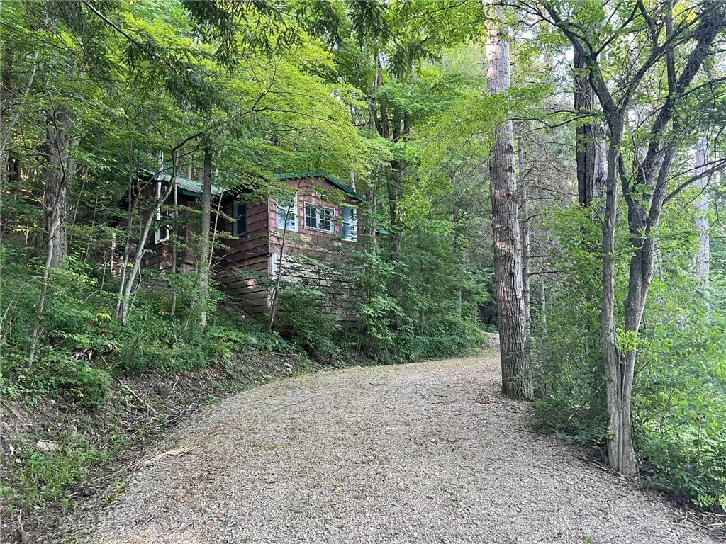 9264 County Road 15b Road 0, Birdsall, New York 14, Birdsall, New York 14822, 1 Bedroom Bedrooms, ,1 BathroomBathrooms,Land,For Sale,9264 County Road 15b Road 0, Birdsall, New York 14,R1595164