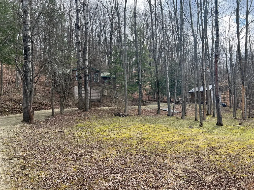 9264 County Road 15b Road 0, Birdsall, New York 14, Birdsall, New York 14822, 1 Bedroom Bedrooms, ,1 BathroomBathrooms,Land,For Sale,9264 County Road 15b Road 0, Birdsall, New York 14,R1595164