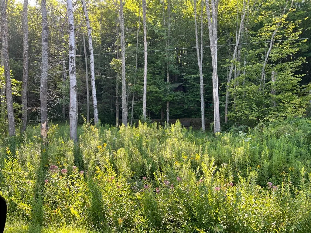 9264 County Road 15b Road 0, Birdsall, New York 14, Birdsall, New York 14822, 1 Bedroom Bedrooms, ,1 BathroomBathrooms,Land,For Sale,9264 County Road 15b Road 0, Birdsall, New York 14,R1595164