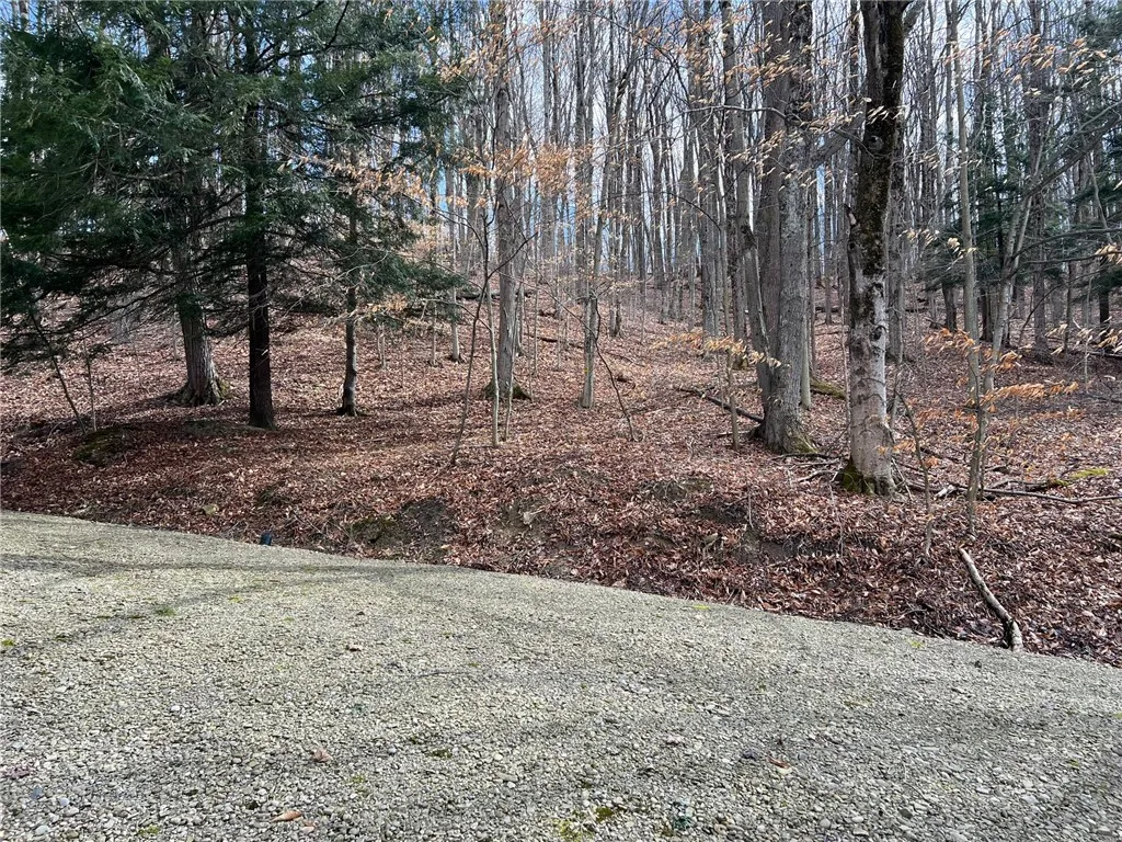 9264 County Road 15b Road 0, Birdsall, New York 14, Birdsall, New York 14822, 1 Bedroom Bedrooms, ,1 BathroomBathrooms,Land,For Sale,9264 County Road 15b Road 0, Birdsall, New York 14,R1595164