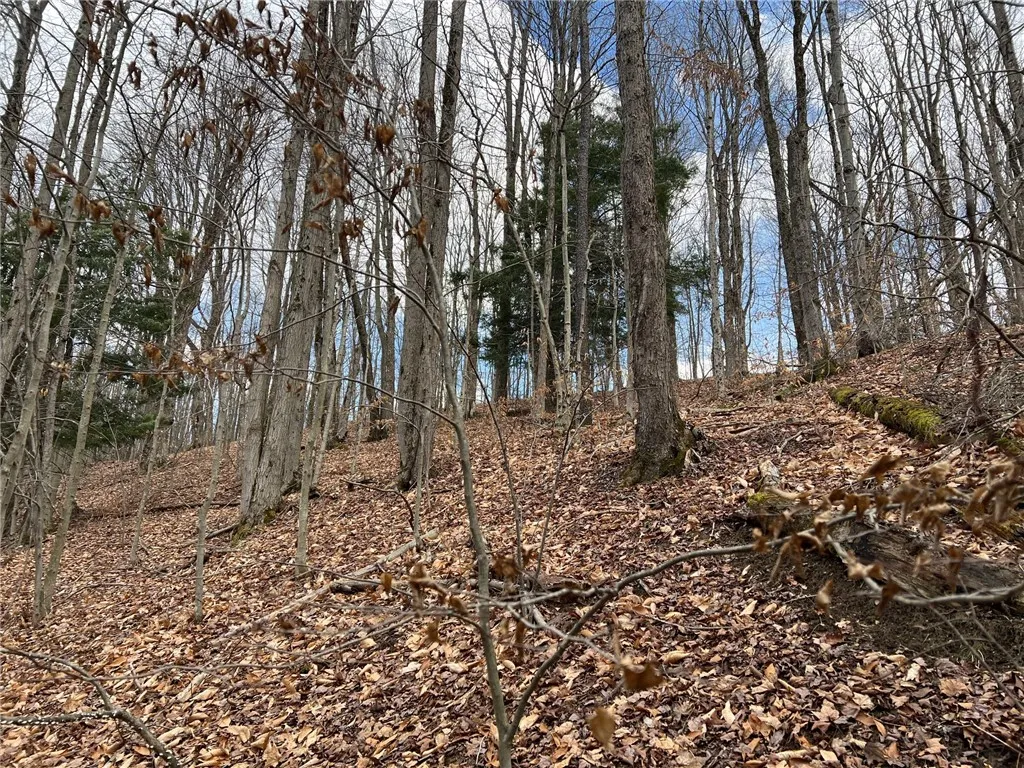 9264 County Road 15b Road 0, Birdsall, New York 14, Birdsall, New York 14822, 1 Bedroom Bedrooms, ,1 BathroomBathrooms,Land,For Sale,9264 County Road 15b Road 0, Birdsall, New York 14,R1595164